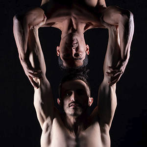 Wilmer MARQUEZ & Edward-ALEMAN